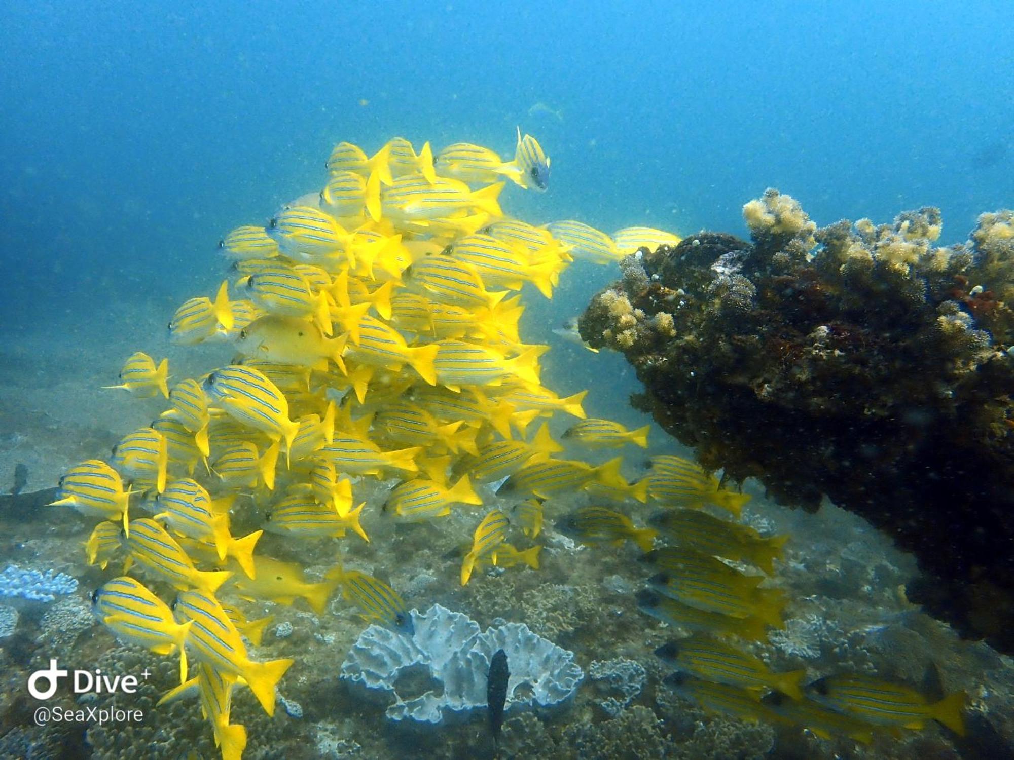 Seaxplore Lodge & Dive Center Sodwana Bay Exterior foto